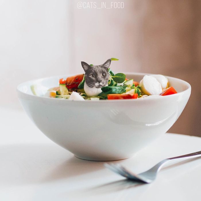 I Photoshop Cats Into Food