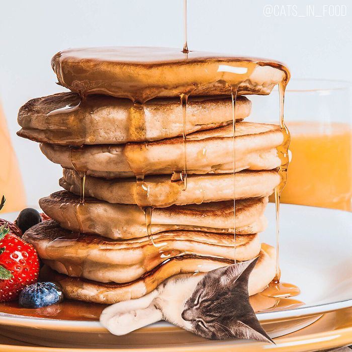 I Photoshop Cats Into Food