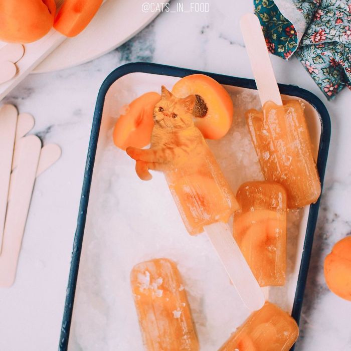 I Photoshop Cats Into Food