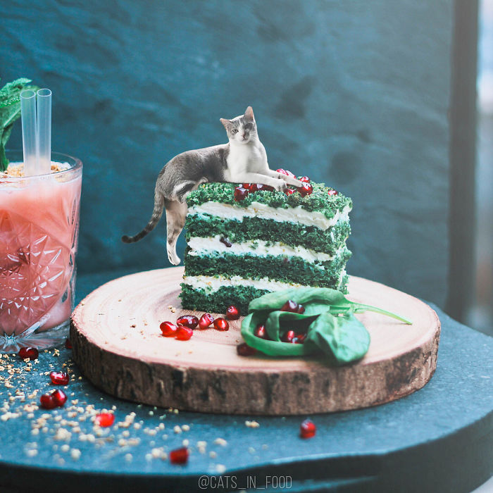 I Photoshop Cats Into Food