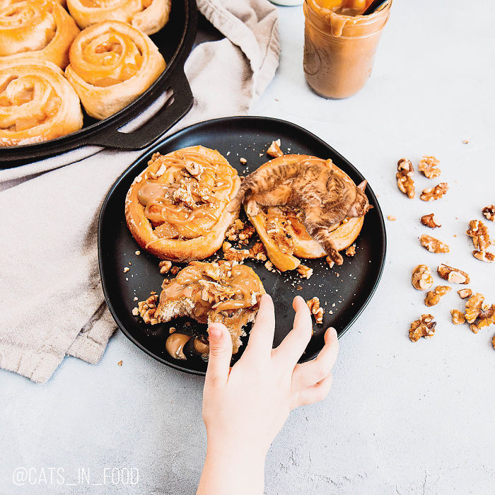 I Photoshop Cats Into Food