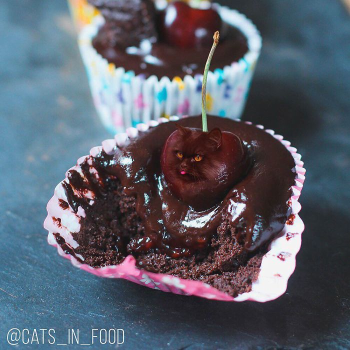 I Photoshop Cats Into Food