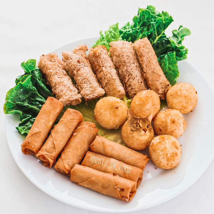 I Photoshop Cats Into Food