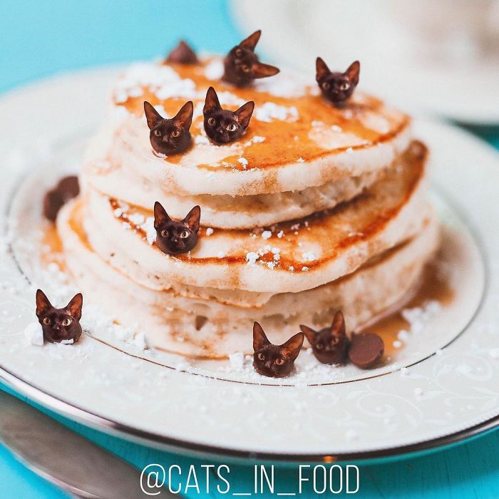 I Photoshop Cats Into Food