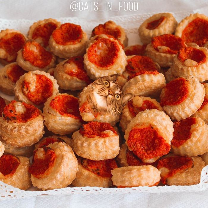 I Photoshop Cats Into Food