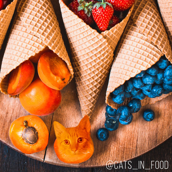 I Photoshop Cats Into Food