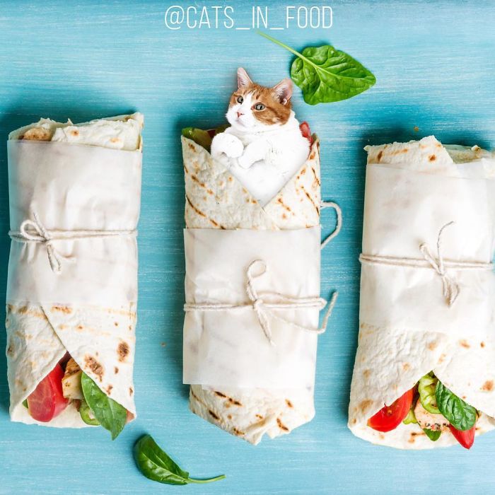 I Photoshop Cats Into Food