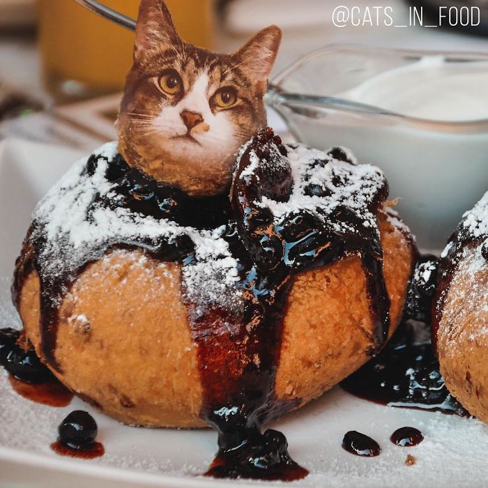 I Photoshop Cats Into Food