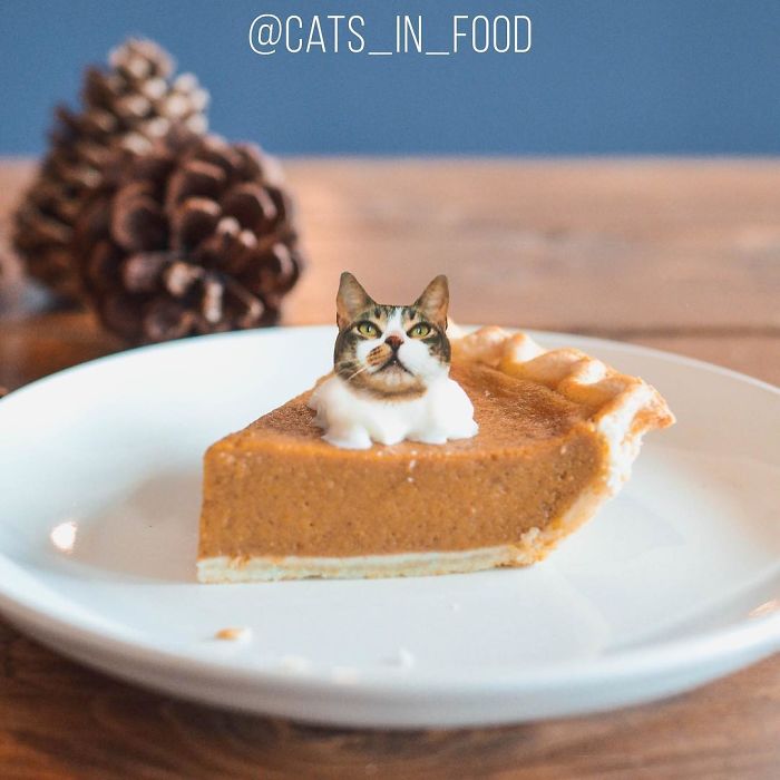 I Photoshop Cats Into Food