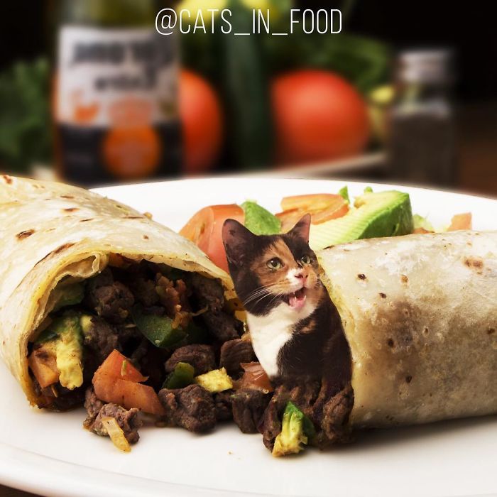 I Photoshop Cats Into Food
