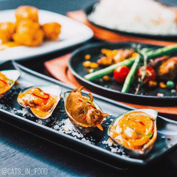 I Photoshop Cats Into Food