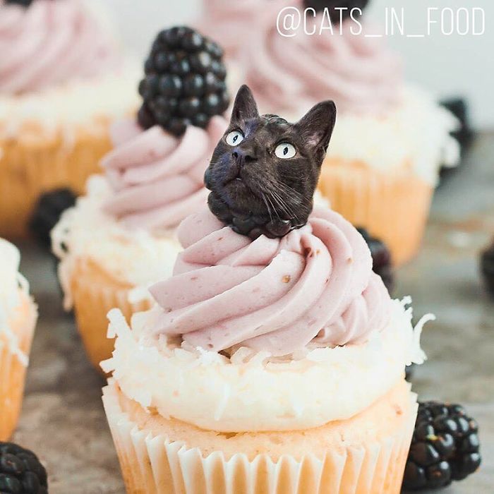 I Photoshop Cats Into Food