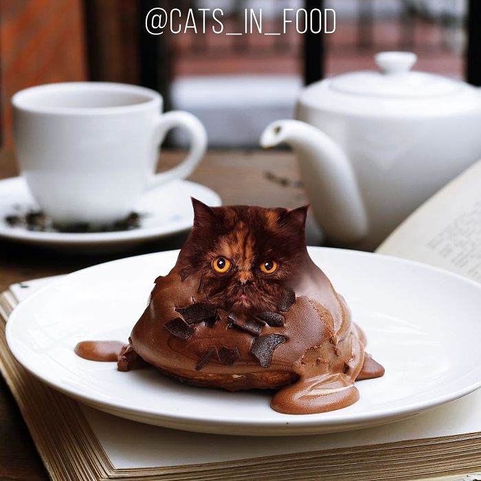I Photoshop Cats Into Food