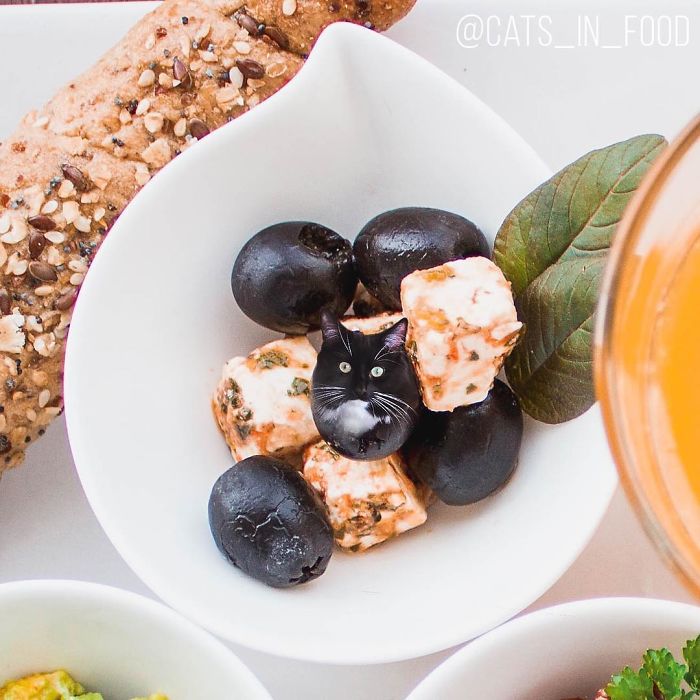 I Photoshop Cats Into Food