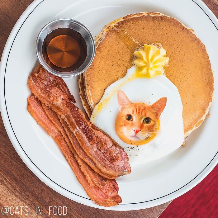 I Photoshop Cats Into Food