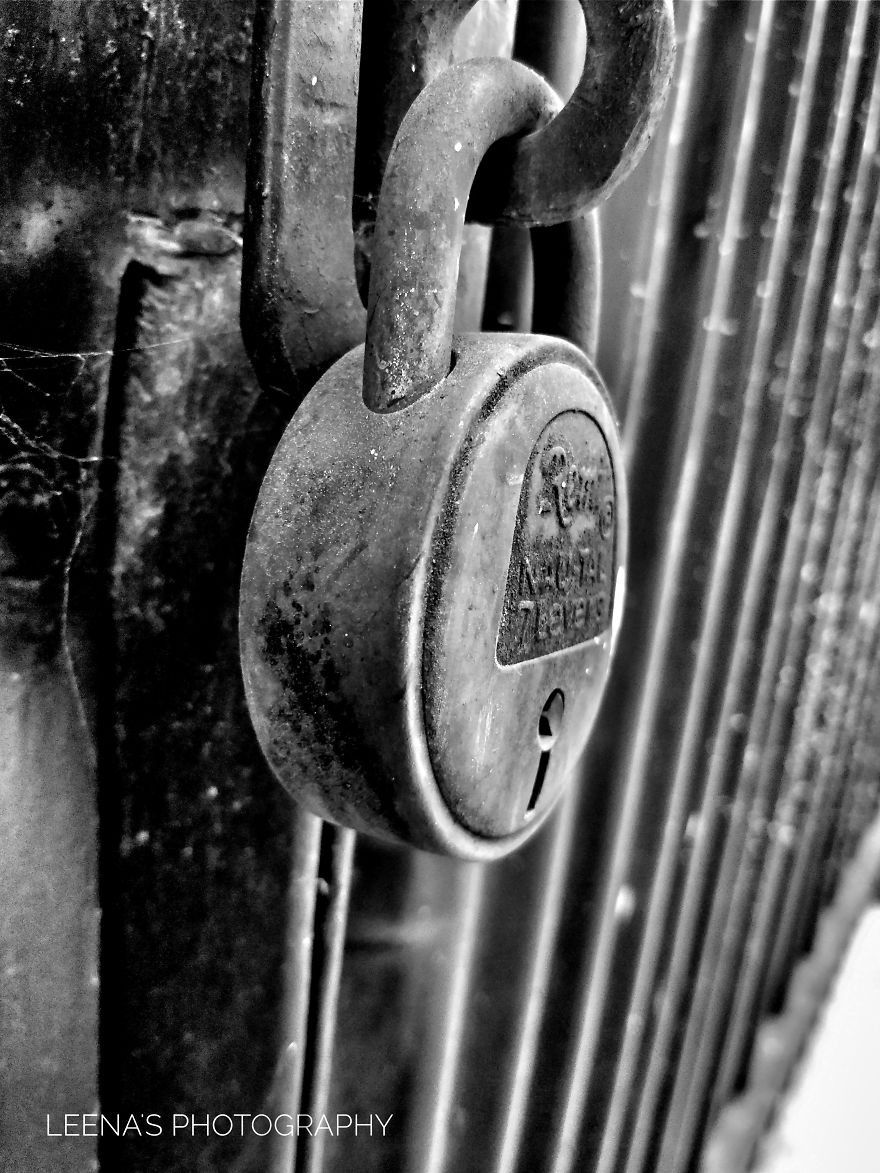 A Magical Black And White