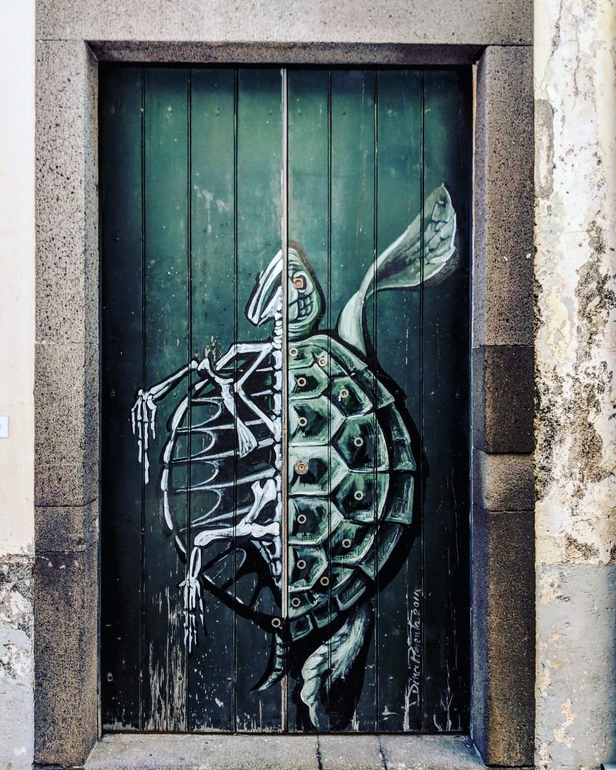 I Photographed The Hidden Beauty Of Madeira