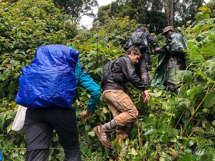 I Went Gorilla Tracking In The Pouring Rain In Uganda And Got Very Wet (But It Was Amazing)