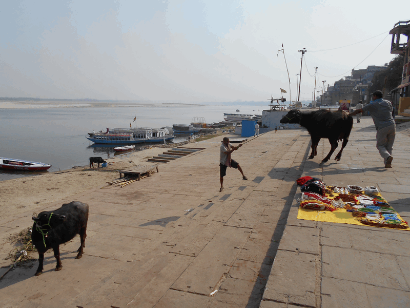 India: What Is Different From Europe