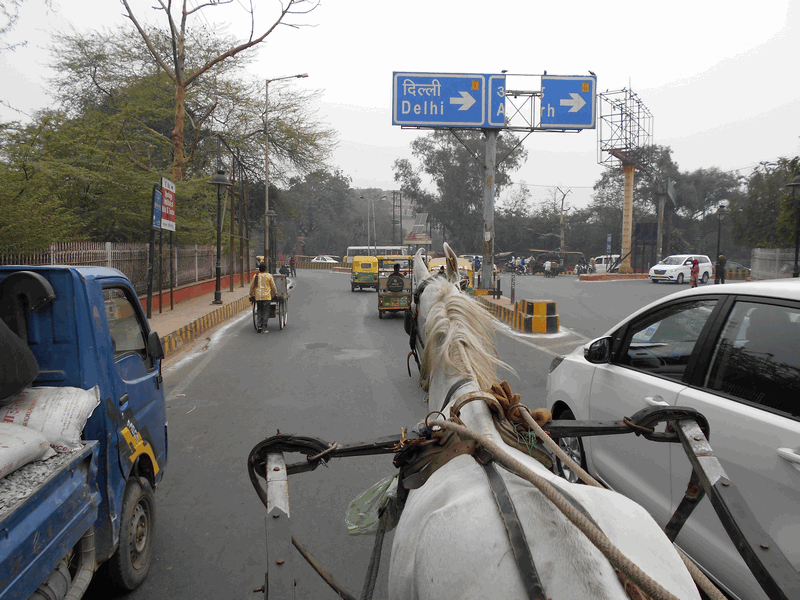 India: What Is Different From Europe