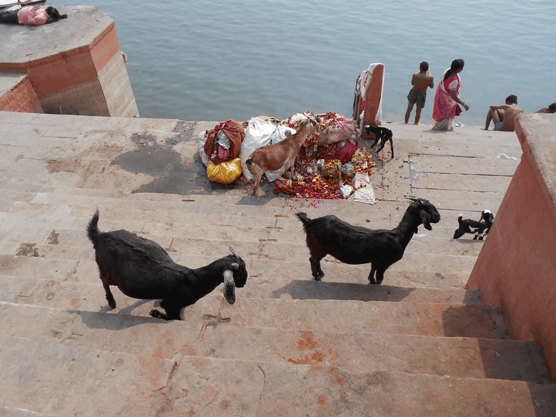 India: What Is Different From Europe