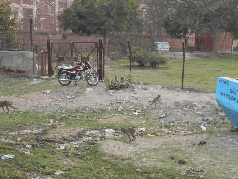 India: What Is Different From Europe