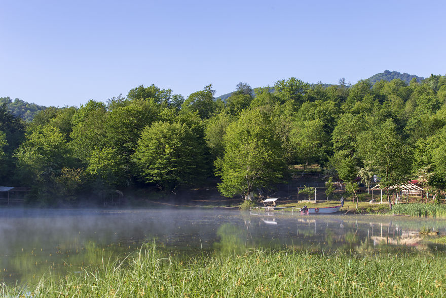 When You Find Yourself In The Forest At The Right Time...
