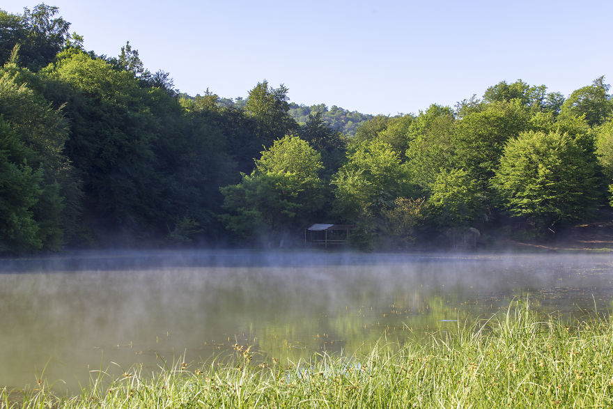 When You Find Yourself In The Forest At The Right Time...