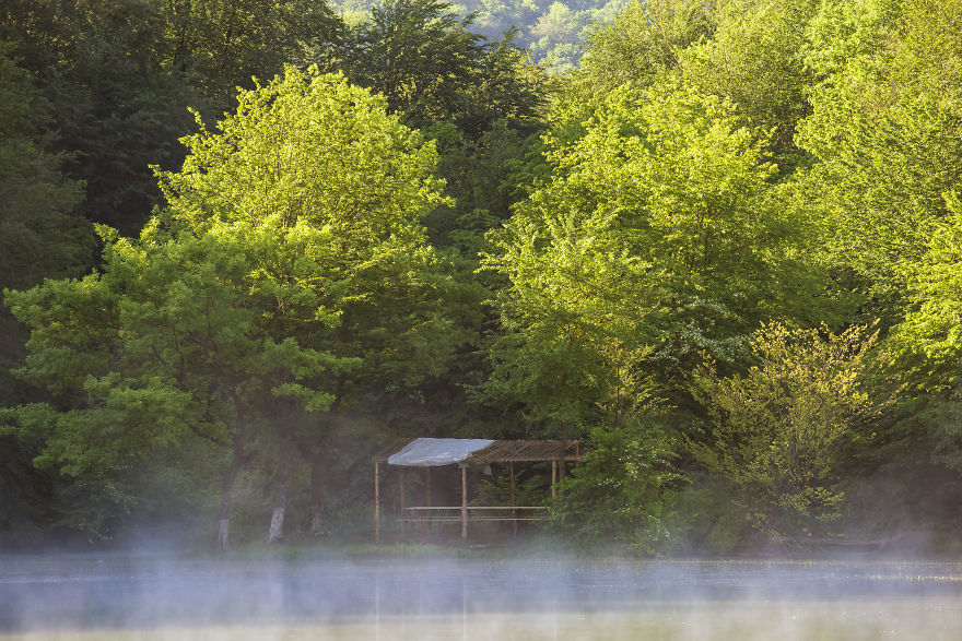 When You Find Yourself In The Forest At The Right Time...