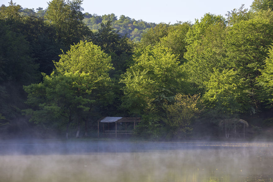 When You Find Yourself In The Forest At The Right Time...