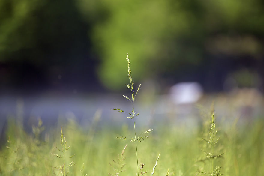 When You Find Yourself In The Forest At The Right Time...