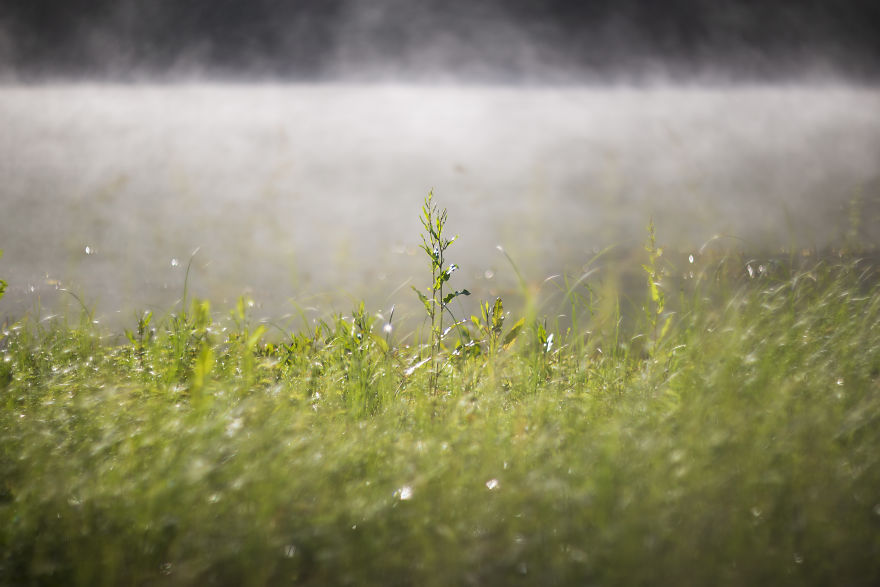 When You Find Yourself In The Forest At The Right Time...
