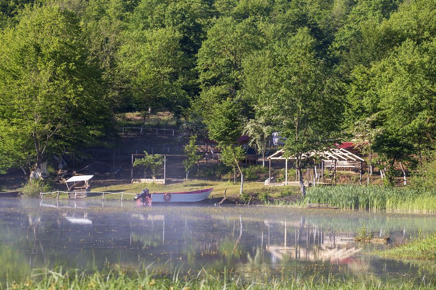 When You Find Yourself In The Forest At The Right Time...