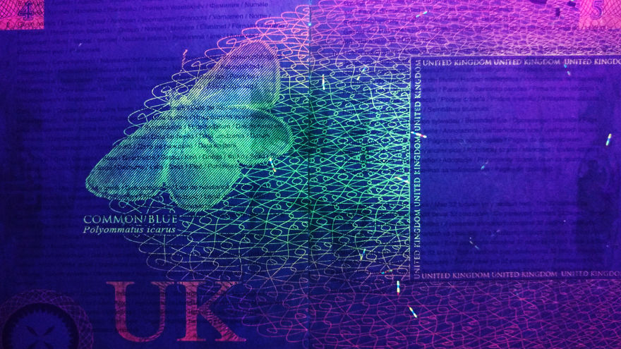 I Always Knew That Passports Used UV Ink For Security So I Checked How That Looks I Always Knew That Passports Used UV Ink For Security So I Checked How That Looks