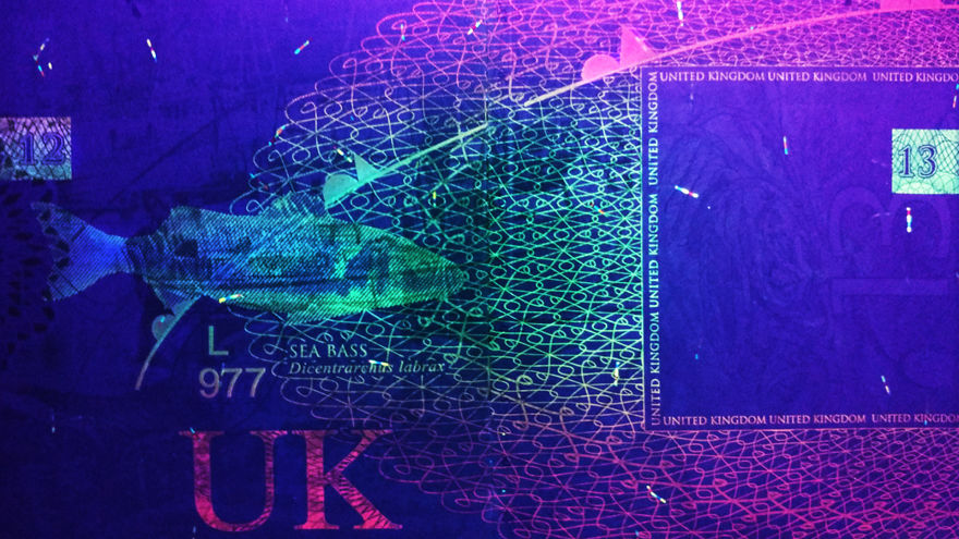 I Always Knew That Passports Used UV Ink For Security So I Checked How That Looks