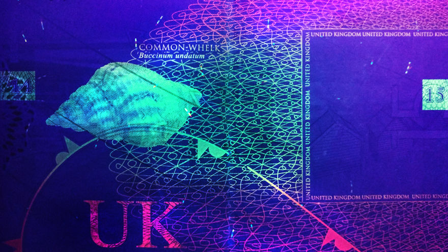 I Always Knew That Passports Used UV Ink For Security So I Checked How That Looks I Always Knew That Passports Used UV Ink For Security So I Checked How That Looks