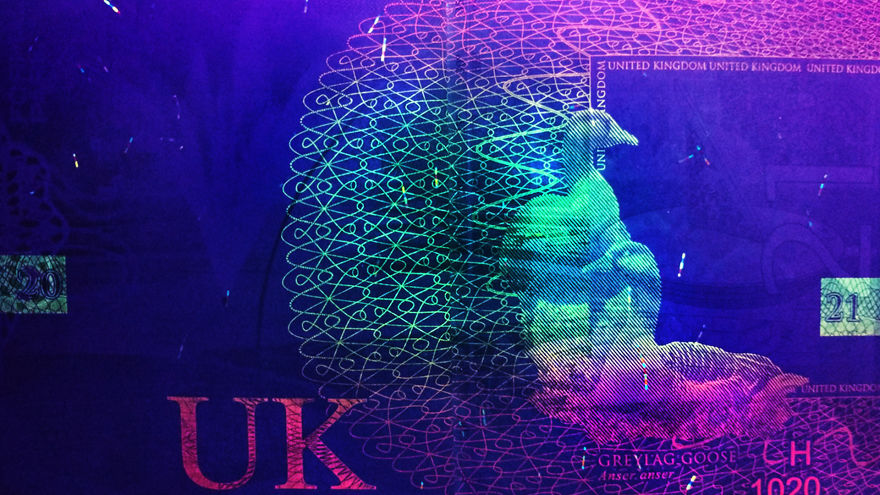 I Always Knew That Passports Used UV Ink For Security So I Checked How That Looks I Always Knew That Passports Used UV Ink For Security So I Checked How That Looks