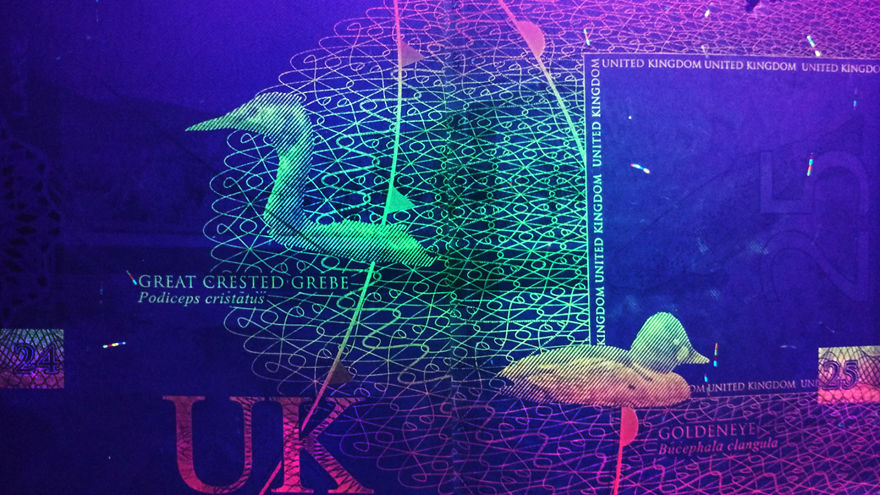 I Always Knew That Passports Used UV Ink For Security So I Checked How That Looks I Always Knew That Passports Used UV Ink For Security So I Checked How That Looks