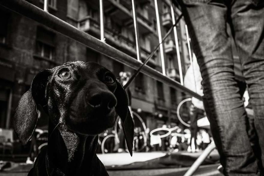 Photographer Captures The Gritty Spirt Of Milano In Candid Photos