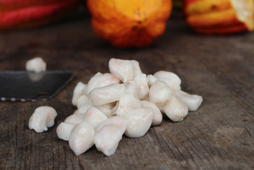 I'm A Chocolate Maker, And Here's How The Chocolate is Made From Bean To Bar I'm A Chocolate Maker, And Here's How The Chocolate is Made From Bean To Bar