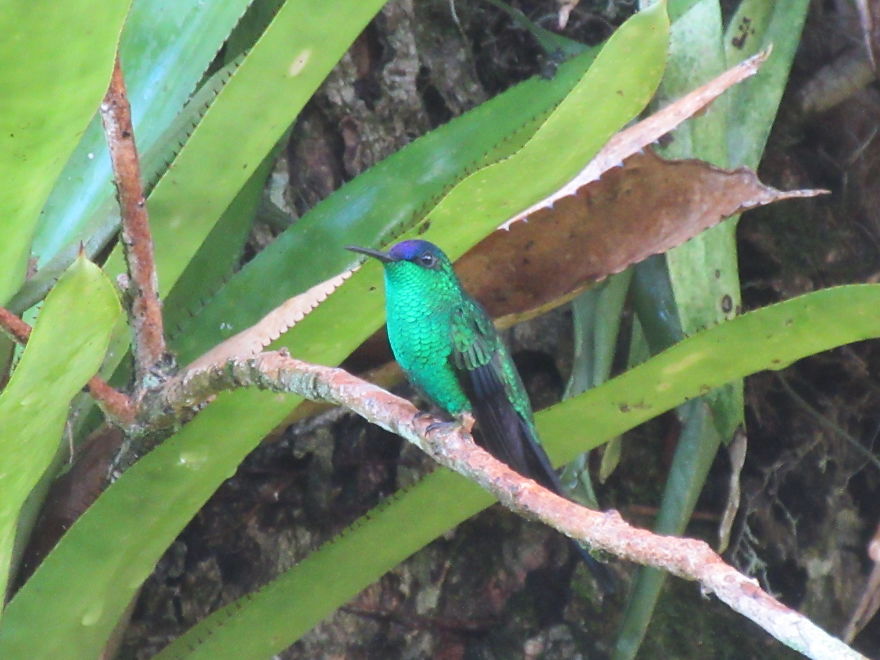We Made Quilling Window Decorations To Prevent Bird Crashes We Made Quilling Window Decorations To Prevent Bird Crashes