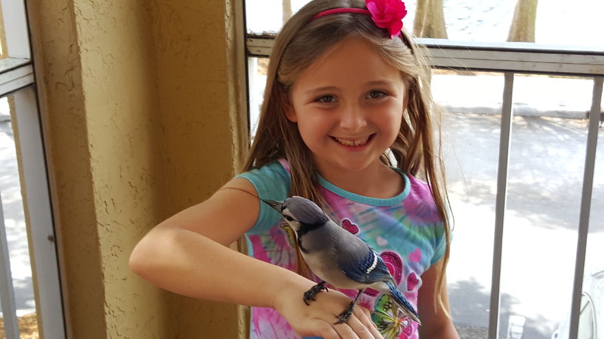 Saved By A Winged Angel Saved By A Winged Angel