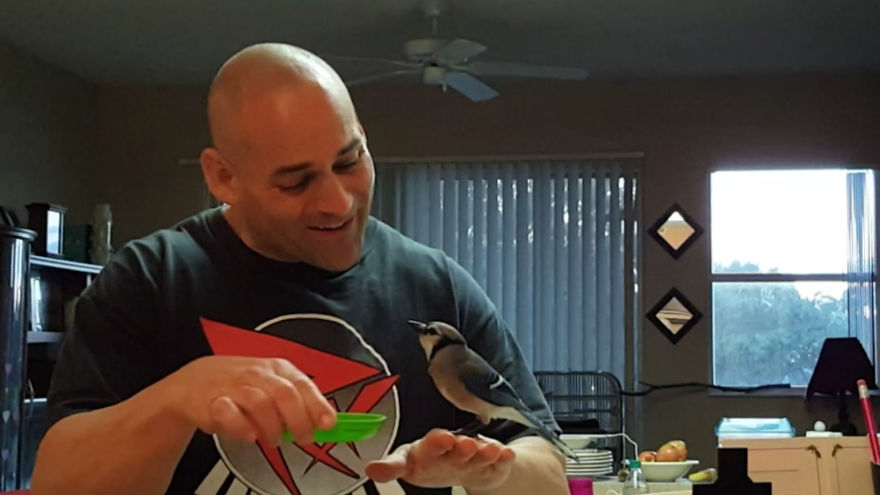 Saved By A Winged Angel Saved By A Winged Angel