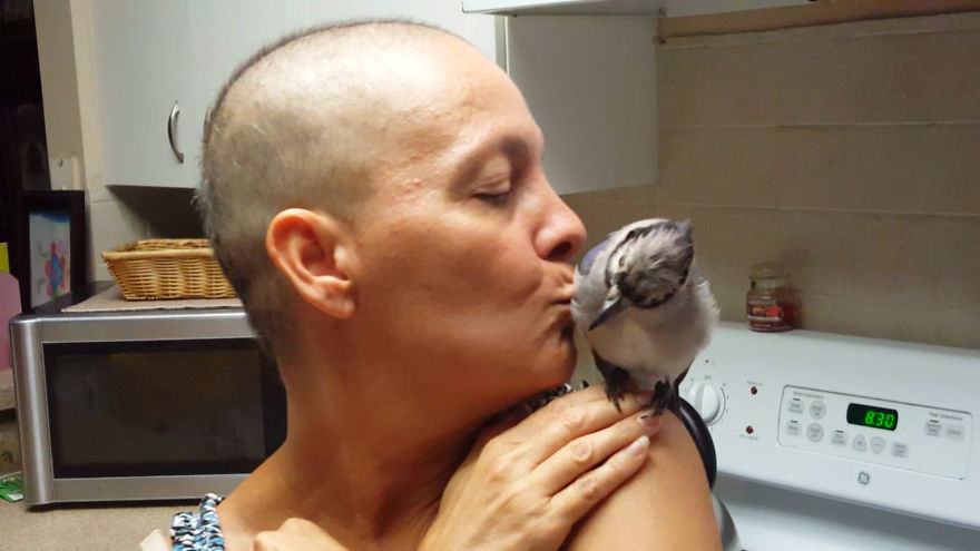 Saved By A Winged Angel Saved By A Winged Angel