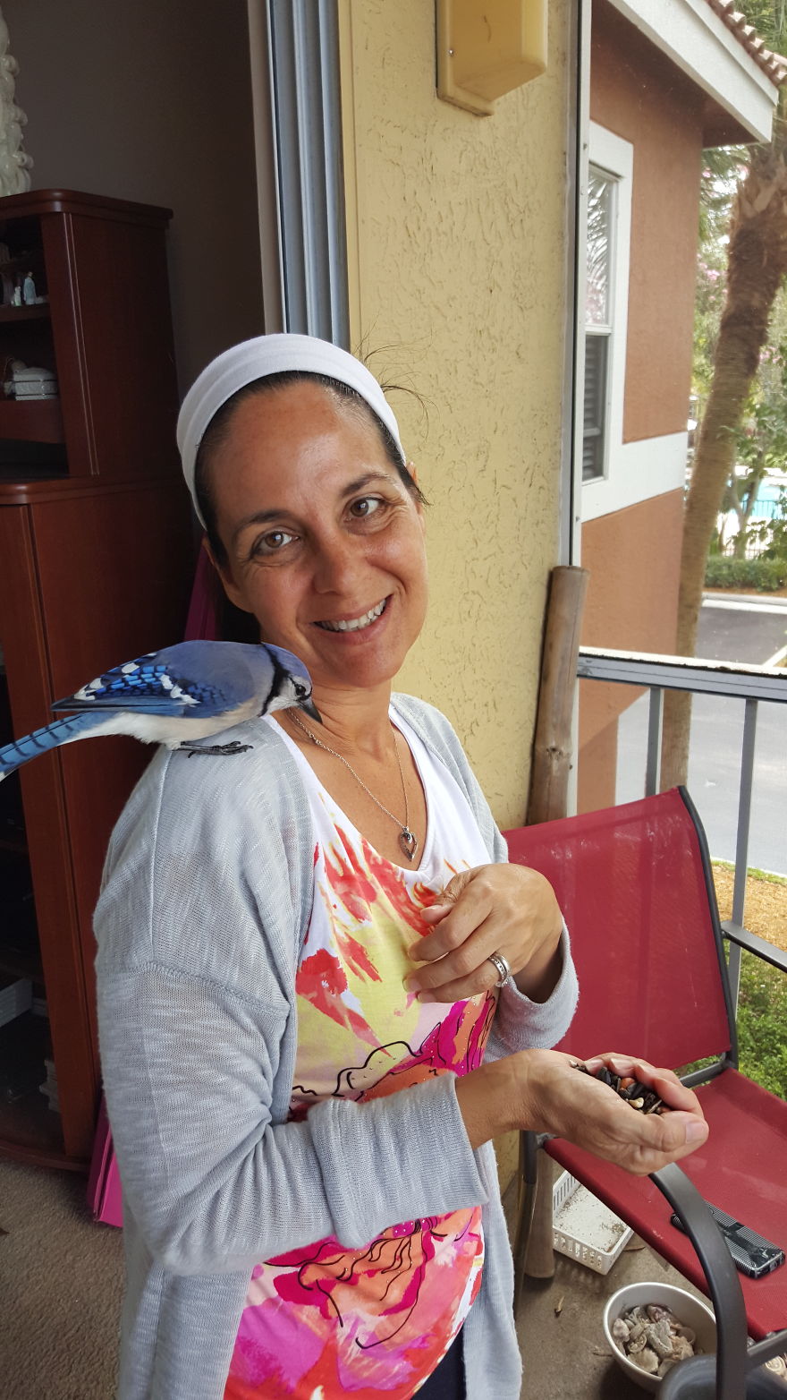 Saved By A Winged Angel Saved By A Winged Angel