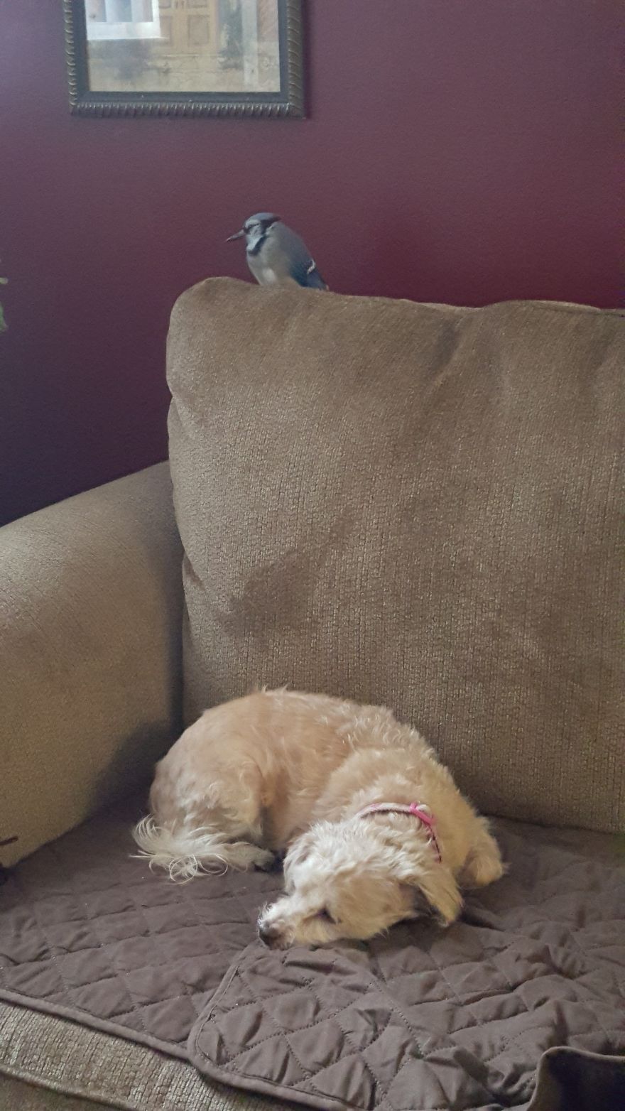 Saved By A Winged Angel Saved By A Winged Angel