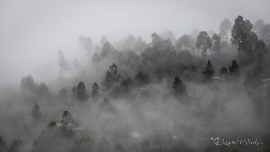 I Went Gorilla Tracking In The Pouring Rain In Uganda And Got Very Wet (But It Was Amazing)