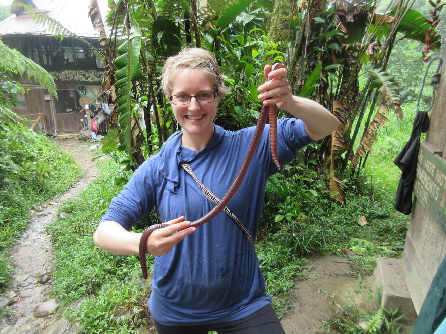 A Worm The Size Of A Snake!