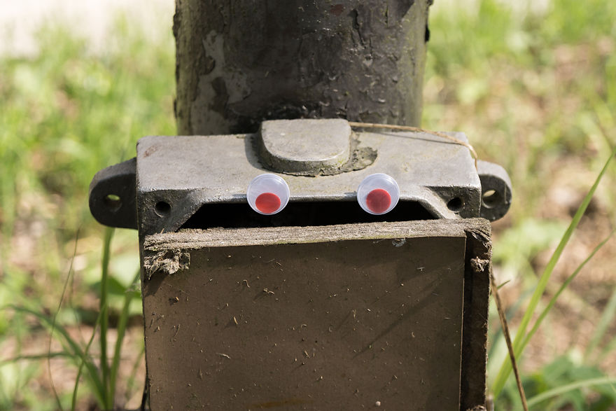 With Two Eyes In Their Hand, They Started To Look For Shapes. And They Found Them