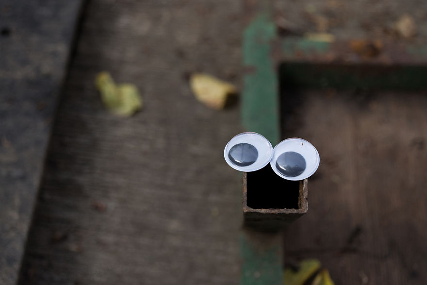 With Two Eyes In Their Hand, They Started To Look For Shapes. And They Found Them